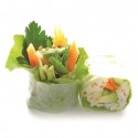  Vegetal 