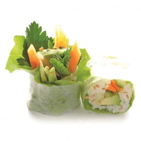  Vegetal 
